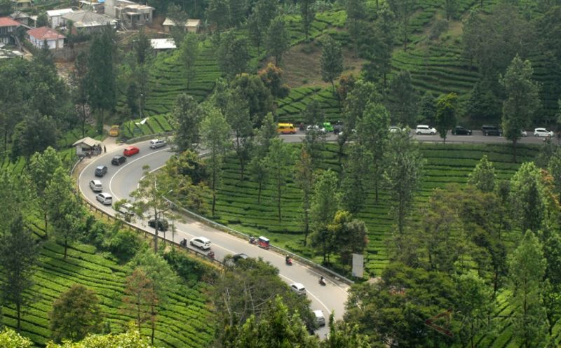 Libur Long Weekend, Simak Tips Hindari Kemacetan di Puncak