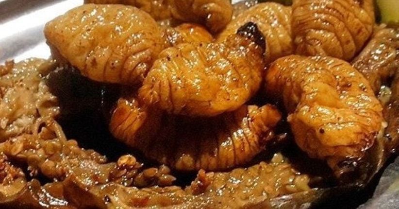 Lezatnya Sate Ulat Sagu dari Papua Barat, Kampung Halaman Joan Idol