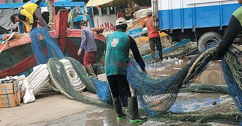 Nelayan Tegal Protes Pembatasan Kapal Cantrang Hanya di Laut Jawa