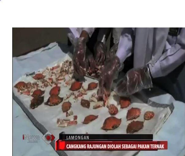 VIDEO: Olah Limbah Cangkang Rajungan, SMAN 1 Paciran Jadi Juara