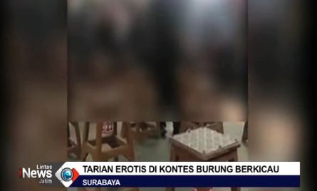 Tarian Erotis di Lomba Burung Berkicau Bikin Warga Geram
