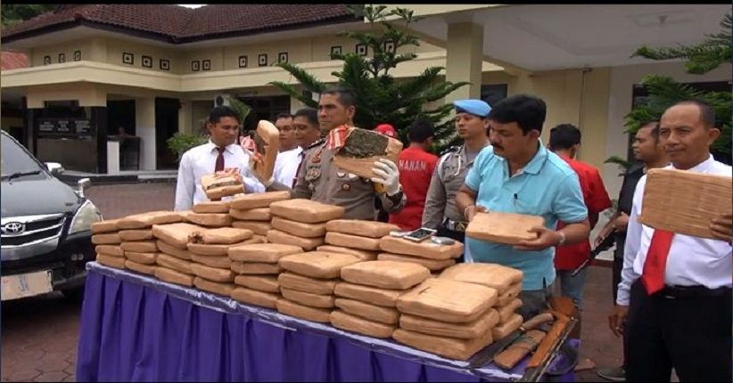 Bawa Ganja 82 Kg, Kurir Narkoba Bawa Sajam dan Senpi