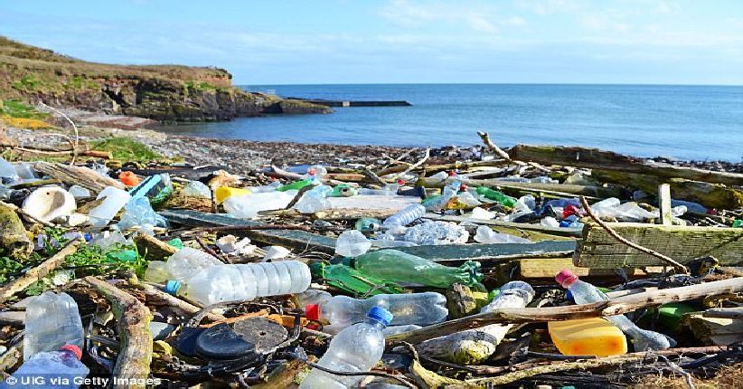 Pemerintah Inggris Desak Australia Hentikan Penggunaan Sedotan Plastik