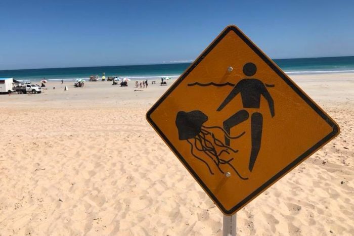 Pantai Ditutup karena Serangan Ubur-Ubur Mematikan di Australia Barat