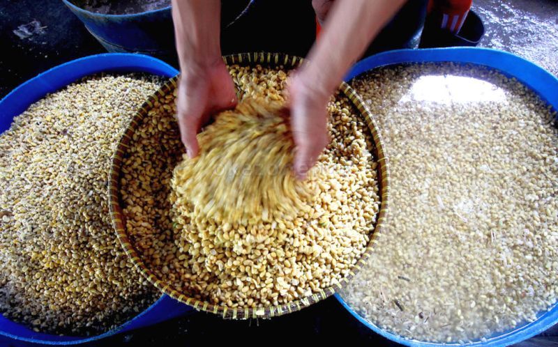 Harga Kedelai Impor di Kudus Terus Merangkak Naik 