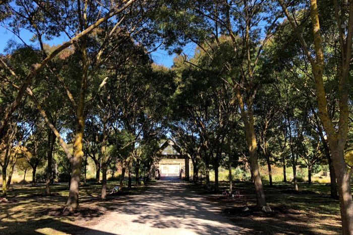 Kuburan Jadi Salah Satu Tempat Wisata di Australia, Ini Alasannya