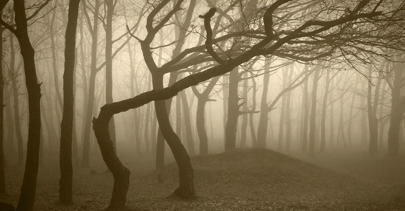 Tersembunyi di Inggris, Wychwood Terkenal Angker karena Hantu Wanita