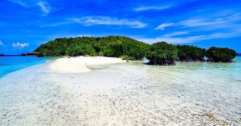 Jelajahi Pulau Pahawang, Snorkeling Lihat Ikan Nemo di Terumbu Karang