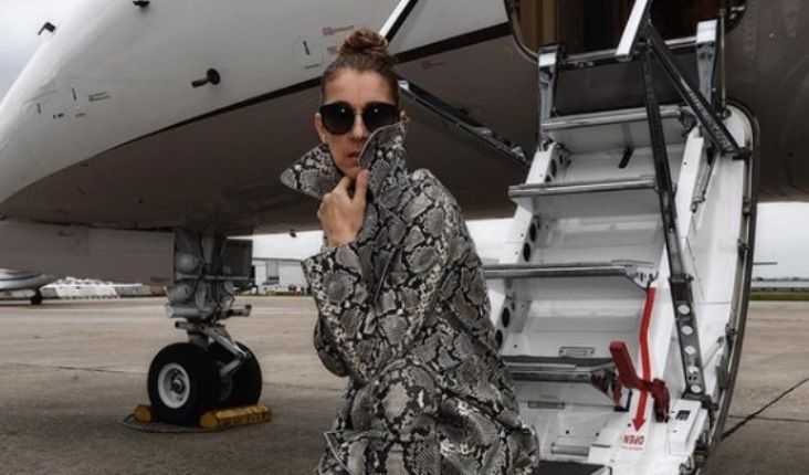 Usai Operasi Telinga, Jadwal Konser Celine Dion di Indonesia Aman