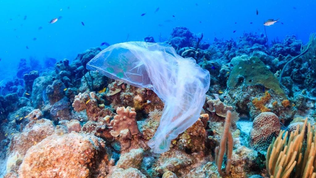 Ilmuwan Australia: Laut di Dunia Dicemari 14 Juta Ton Mikroplastik