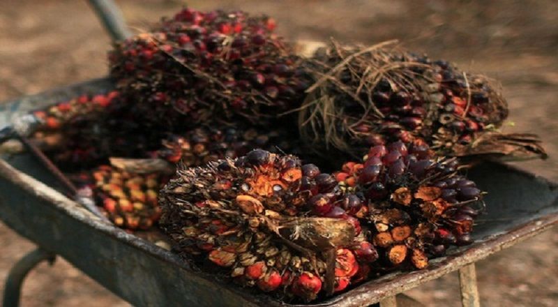 Prospek Industri Hilir Sawit Akan Positif Sepanjang Tahun 2018