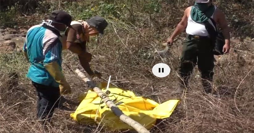 Wanita Muda Asal Nganjuk Ditemukan Tewas tanpa Busana di Hutan
