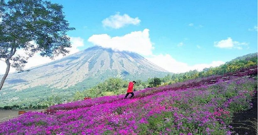 Gunung Agung Erupsi, Kunjungi Piramida Alam Flores Ada Taman Bunganya