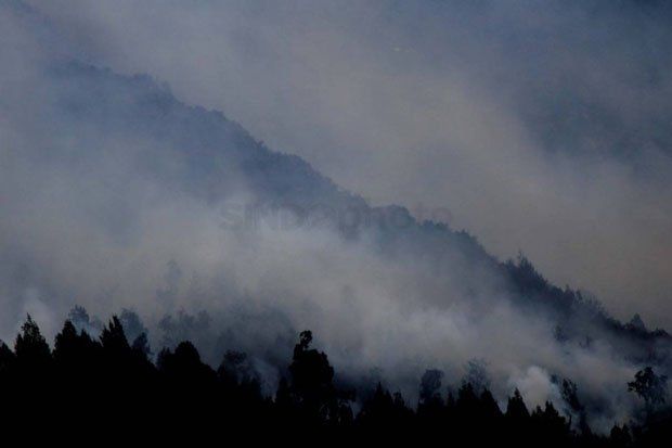 BMKG Deteksi 87 Titik Panas di Sumatera
