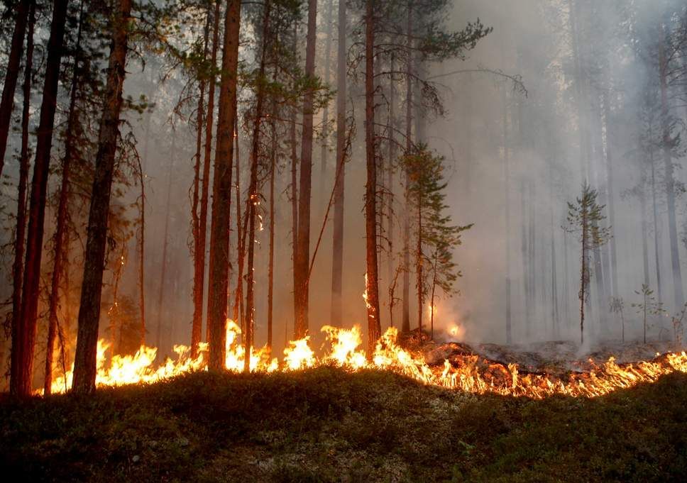 Tentara Prancis Tiba di Swedia untuk Bantu Padamkan Kebakaran Hutan