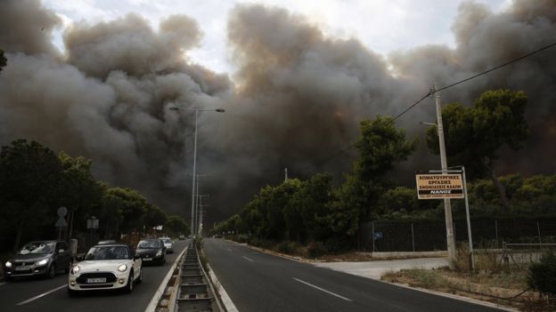 74 Orang Tewas akibat Kebakaran Hutan, Yunani Berkabung