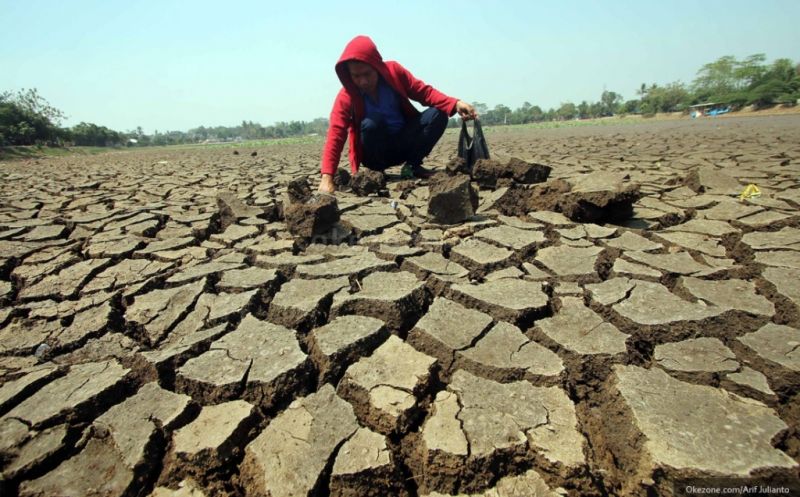 Sawah Kering, Petani di Tanah Datar Keluhkan Rusaknya Saluran Irigasi