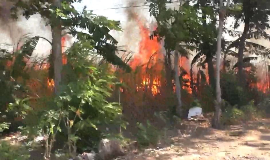 Musim Kemarau Panjang, 3,5 Hektare Lahan Tebu di Nganjuk Terbakar