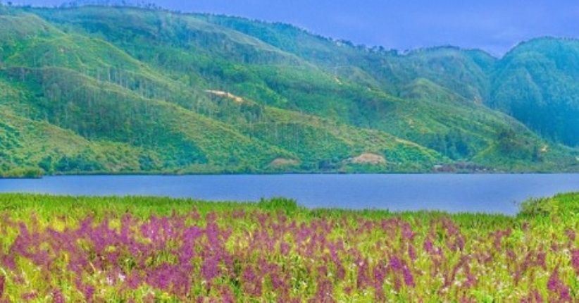 Wisata Tapanuli, Kunjungi Danau Siais sambil Mengintip Ikan Keramat