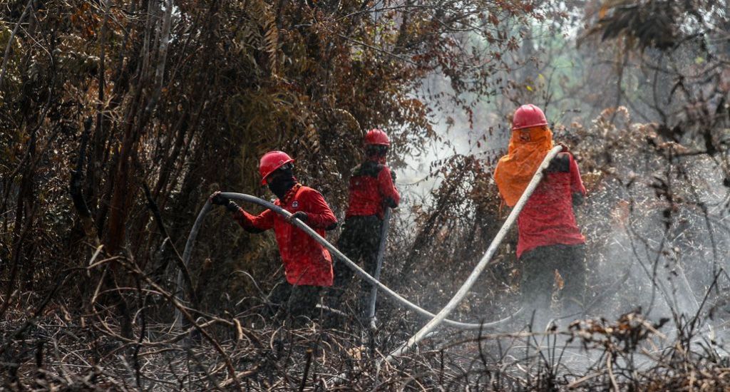 Musim Kemarau Meluas, BMKG: Waspadai Potensi Kebakaran Hutan dan Lahan
