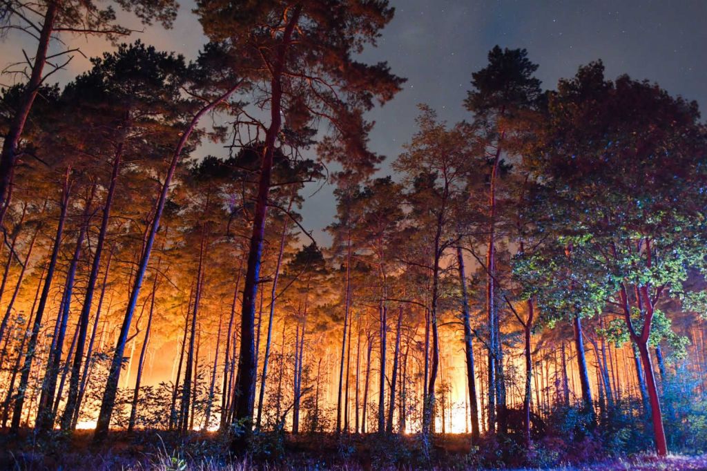 Jerman Dilanda Kebakaran Hutan, Ratusan Orang Terpaksa Dievakuasi