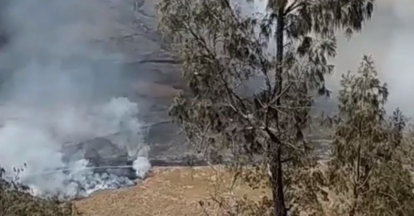 Bukit Teletubbies Terbakar, Intip Keindahan Savana Hijau yang Hits