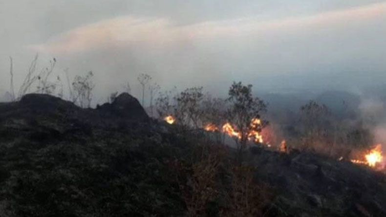 Hutan di Gunung Ciremai Terbakar, Puluhan Pendaki Dievakuasi