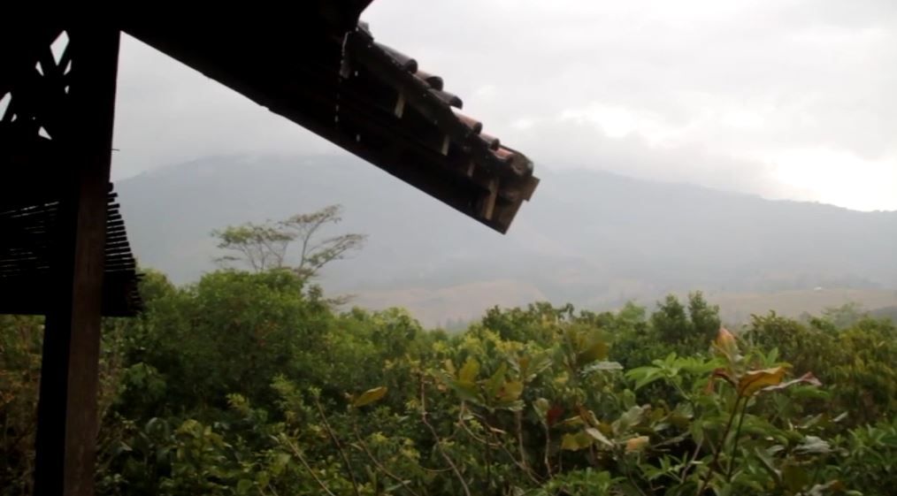 Hujan 1 Jam Bantu Pemadaman Kebakaran Hutan di Gunung Ciremai