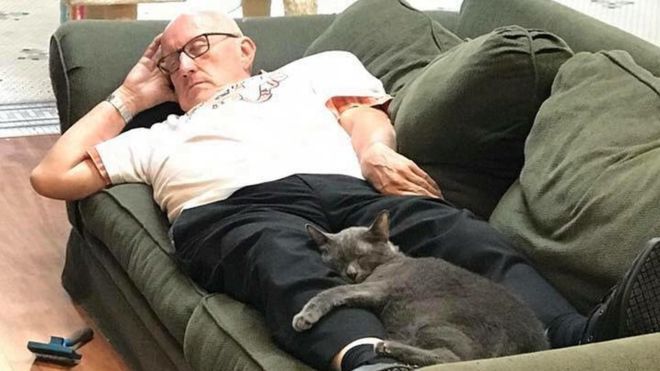 Ketika Foto 'Mbah Para Kucing' Terlelap di Penampungan AS Jadi Viral