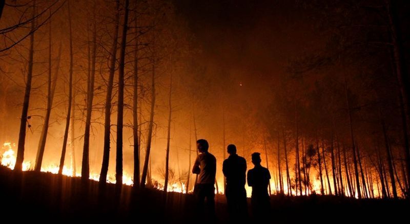 Kebakaran Hutan Besar-besaran di Prancis, 9,3 Juta Meter Persegi Lahan Hangus Dilalap Api