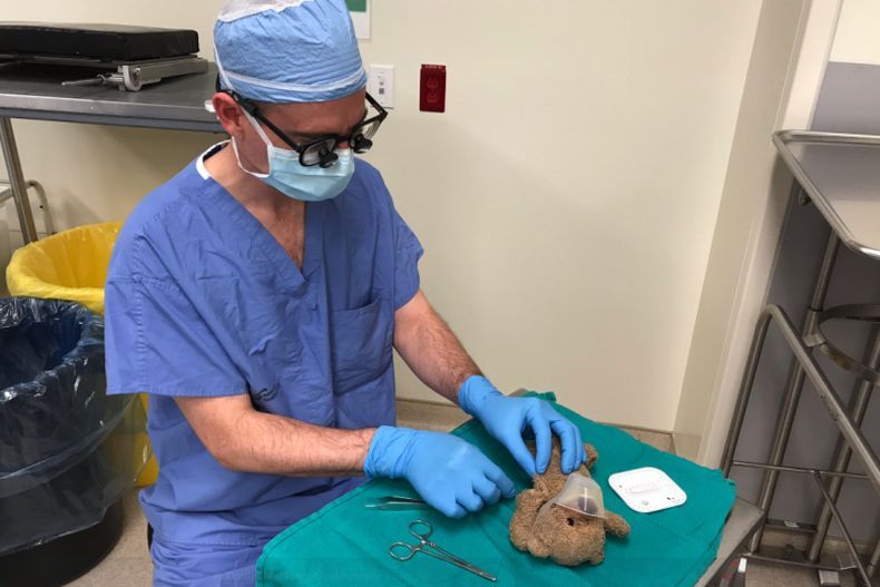 Foto Dokter Mengoperasi Boneka Teddy Bear Viral, Kisahnya Bikin Haru