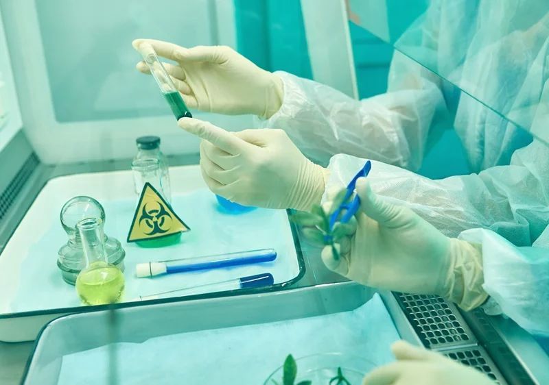 Korea Utara Sebut AS Negara Teroris Biologi, Apa Maksudnya?