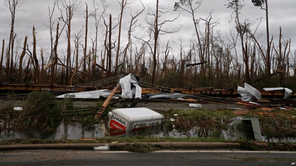 Florida Mulai Pulih dari Hempasan Badai Michael