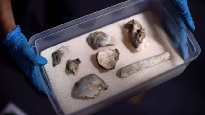 Kebakaran Museum Brasil, Fosil Tengkorak Berusia 12 Ribu Tahun Selamat
