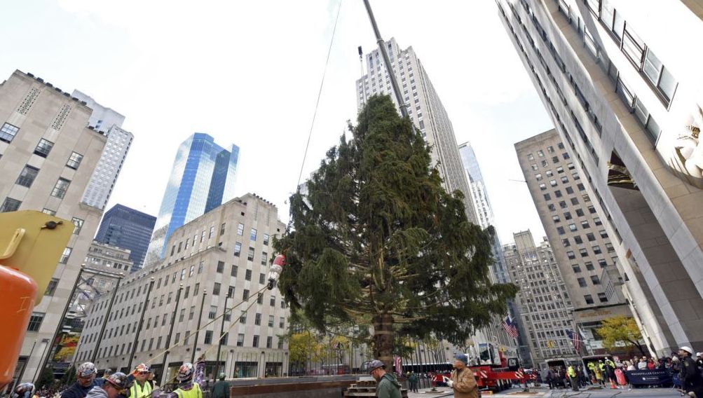 Berhias Swarovski, Pohon Natal Paling Fenomenal Dipajang di New York