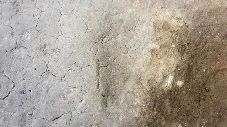 Jejak Kaki Berusia 7.500 Tahun Ungkap Ciri Fisik Manusia Prasejarah
