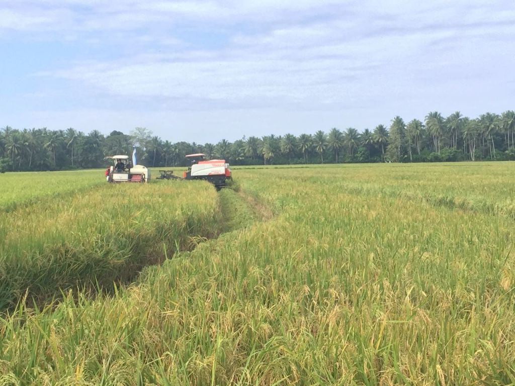 Pemprov Jatim Imbau Petani Waspadai Banjir dan Badai La Nina