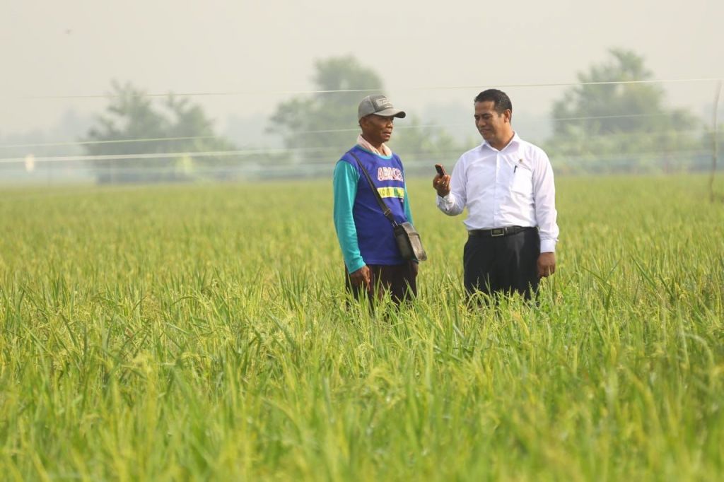 Cegah Kebakaran Rawa, Mentan Minta Petani Garap Lahan Pakai Alsintan