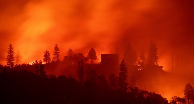 Korban Tewas Kebakaran California 87 Orang, 54 Jenazah Teridentifikasi