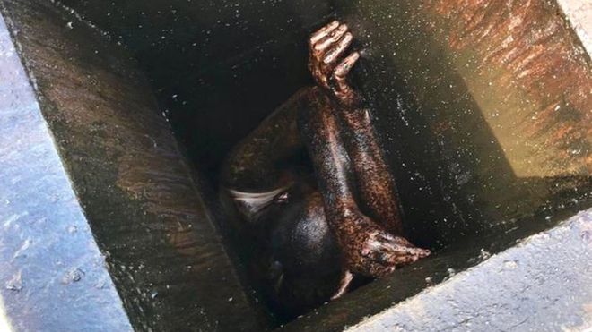 Terperangkap 2 Hari di Saluran Pembuangan Minyak, Pria AS Diselamatkan
