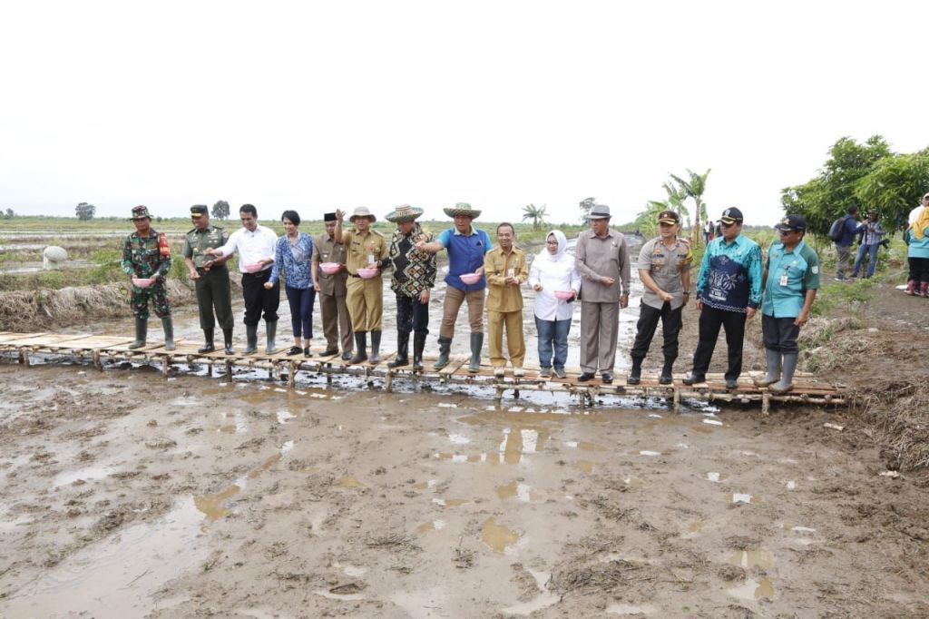 Optimalkan Lahan Rawa, Kalsel Akan Jadi Lumbung Pangan di Luar Jawa
