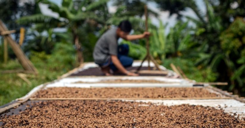 Sumber Daya Alam di Sulawesi Selatan, Sektor hingga Komoditas Unggulan