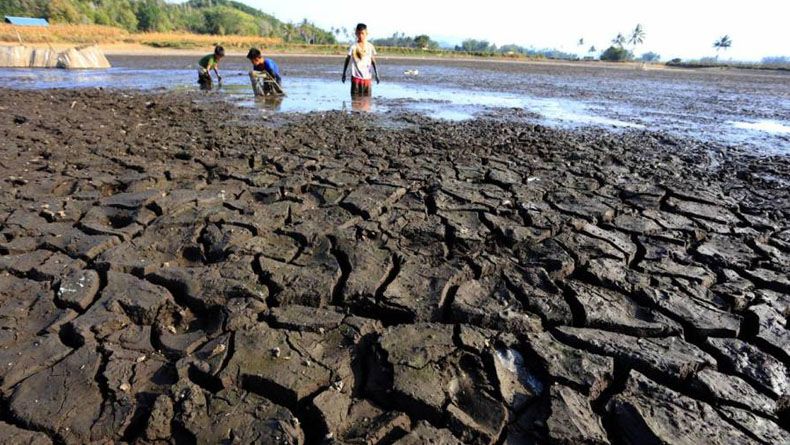 BMKG Prediksi Awal Musim Kemarau April 2024, Dimulai dari NTT hingga Bali