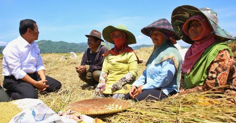 Swasembada Padi dan Jagung Tercapai, Kementan Kejar Kedelai