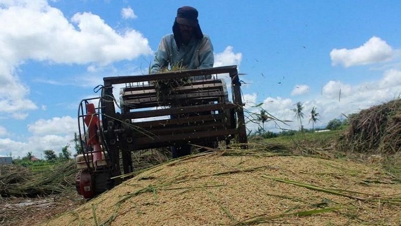 Regenerasi Petani Tak Jalan, Ini yang Digagas Pemkab Bantul