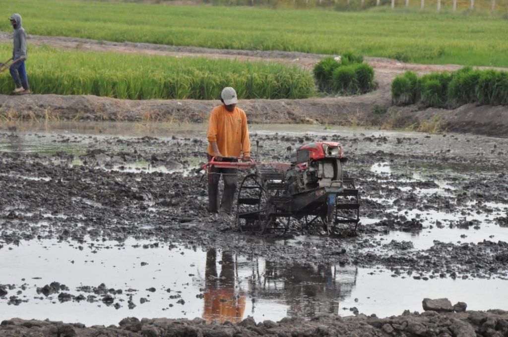2019, Purbalingga Dapat Alokasi Bantuan Alsintan 103 Unit