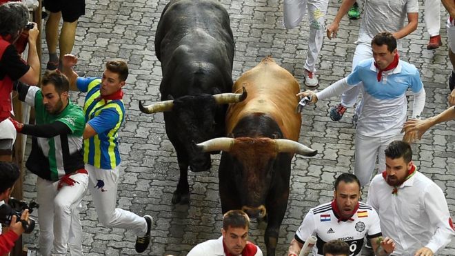 Arab Saudi Berencana Gelar Festival Lari Dikejar Banteng ala Spanyol