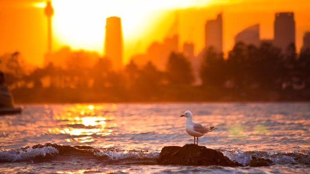 Besok Suhu Sebagian Australia Capai 42 Derajat, Warga Diminta Waspada
