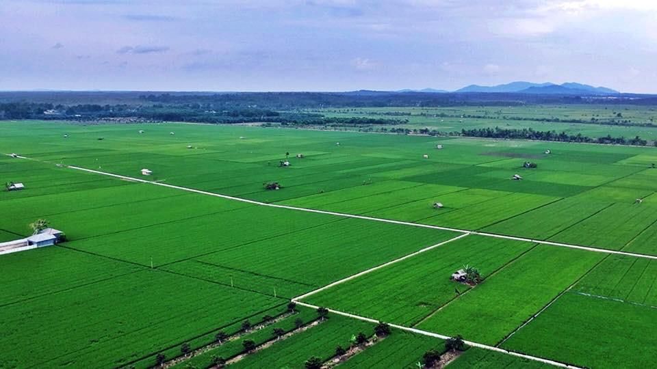 Bantuan Alsintan Kementan Merata hingga ke Daerah Perbatasan