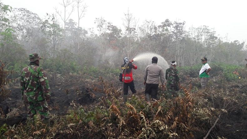 Karhutla di Gunung Batukaru Bali, Lahan Seluas 300 Meter Persegi Terbakar